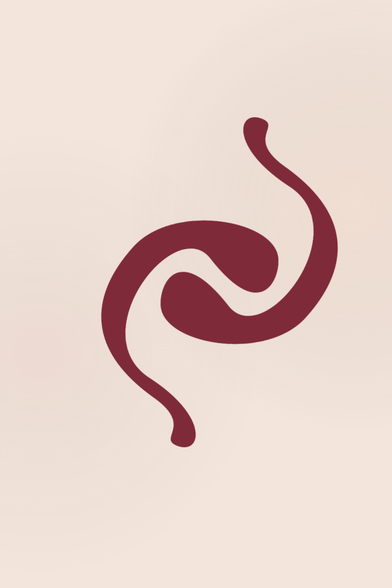 Chapter 2: The First Letter